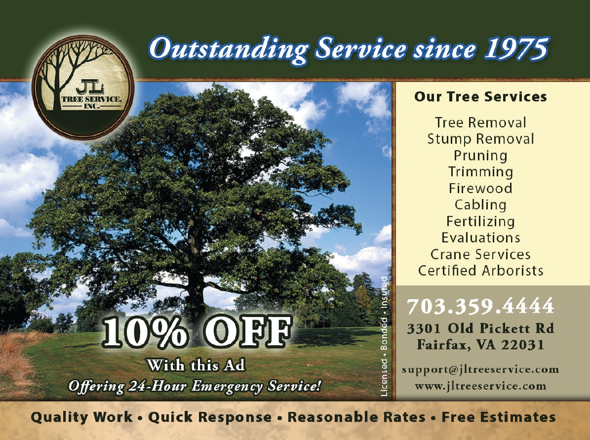 Expert Tree Removal in Northern Virginia - Alexandria, Arlington, Fairfax  VA - Green Vista Tree Care