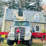 Large tree removal using a crane