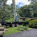 Crane setup in yard with plywood
