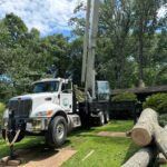 Removing a large Red Oak with Crane in yard
